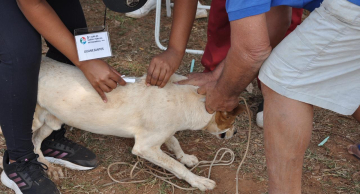 FMVZ/UNESP e Vigilância Ambiental de Botucatu realizam ação de saúde pública veterinária no Comerciários III FMVZ/UNESP e Vigilância Ambiental de Botucatu realizam ação de saúde pública veterinária no Comerciários III