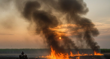 Cetesb prorroga suspensão das queimadas controladas em SP até 31 de outubro