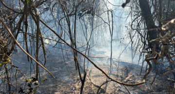Série de incêndios atinge áreas próximas à Rondon em Botucatu e levanta suspeita de ação criminosa Série de incêndios atinge áreas próximas à Rondon em Botucatu e levanta suspeita de ação criminosa