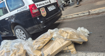 Polícia Civil realiza incineração de 90 quilos de drogas na região de Botucatu