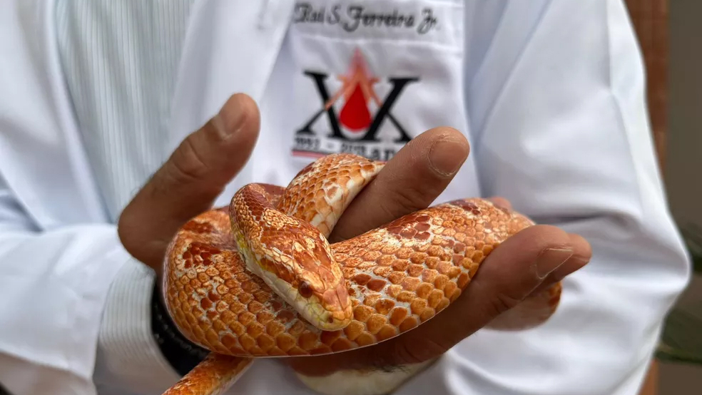 Toca das Cobras tem programação especial de férias e recebe visitantes no CEVAP em Botucatu