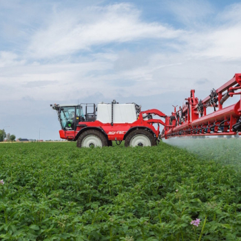Uso intensivo de fungicidas agrícolas ameaça eficácia de tratamentos contra infecções em humanos