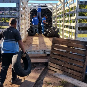 Botucatu destina corretamente mais de 86 mil pneus inservíveis e reforça compromisso ambiental