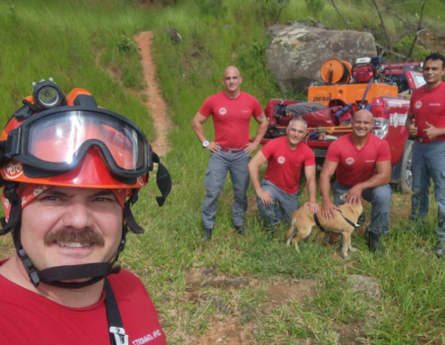 Corpo de Bombeiros realiza resgate emocionante de cão em pedreira de São Roque