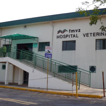 Hospital Veterinário da FMVZ-Unesp terá plantões suspensos para dedetização neste fim de semana