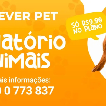 Sistema Prever disponibiliza plano de assistência e cremação para animais de estimação em Botucatu