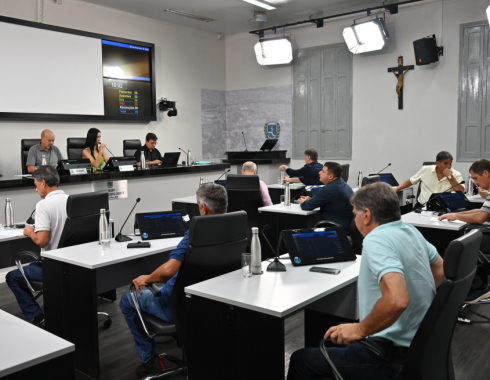 Câmara de Botucatu vota projetos sobre bem-estar animal, imóveis e homenagens