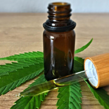 FMB/Unesp de Botucatu lidera pesquisa sobre uso terapêutico de cannabis para ansiedade no Brasil