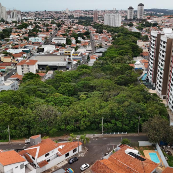 Audiência debate projeto que exige estudo de impacto à biodiversidade em novos empreendimentos