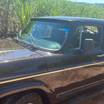 Veraneio há décadas na mesma família é furtada e recuperada em área rural de Botucatu