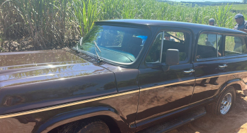 Veraneio há décadas na mesma família é furtada e recuperada em área rural de Botucatu