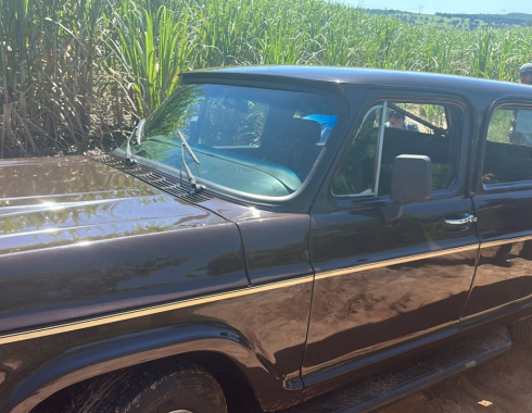 Veraneio há décadas na mesma família é furtada e recuperada em área rural de Botucatu