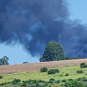 Incêndio atinge área de vegetação próxima ao Distrito Industrial de São Manuel