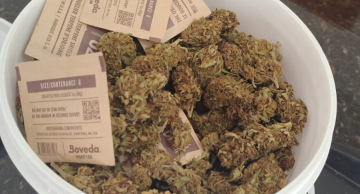 DISE apreende quase 12 kg de drogas durante operação em Botucatu