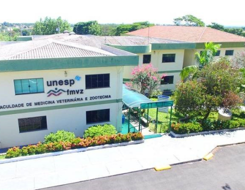 Professores da FMVZ se destacam entre os melhores cientistas do Brasil em ranking internacional