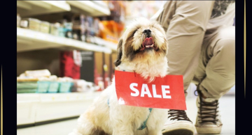 Comprei um PET e depois descobri uma doença pré-existente. E agora?