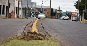 Prefeitura inicia revitalização dos canteiros centrais da Avenida Vital Brasil em Botucatu