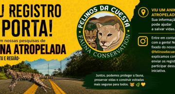 Projeto em Botucatu monitora atropelamentos de animais silvestres nas rodovias da Cuesta