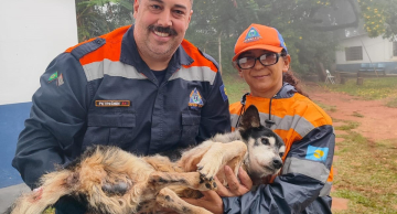 Cachorro idoso e cego é resgatado de córrego por equipes da Defesa Civil e GCM em Botucatu