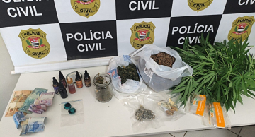 DISE apreende pés de maconha, porções de droga e cogumelos em Botucatu