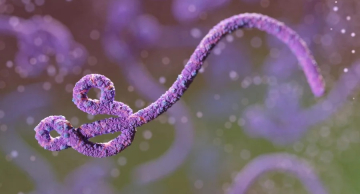 São Paulo investiga caso suspeito de ebola em paciente vindo da África