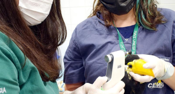 Unesp Botucatu amplia estrutura para atendimento de animais silvestres e passa a integrar rede estadual