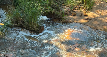 Empresa é multada em R$ 192 mil após vazamento químico atingir córrego em Botucatu
