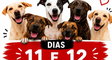 ARCA promove bazar beneficente com peças a partir de R$ 2 em Botucatu