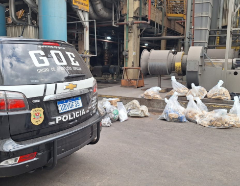 Polícia Civil incinera 350 quilos de drogas apreendidas na região de Botucatu