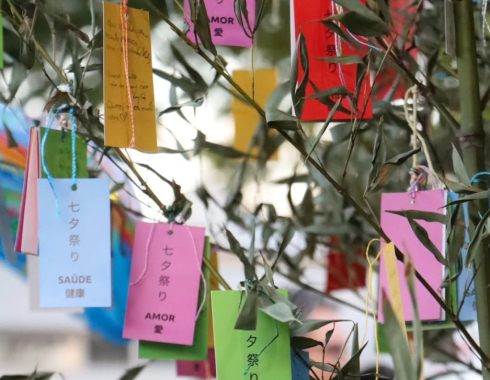 Tanabata Matsuri segue neste sábado e domingo com atrações culturais, gastronomia e tradição japonesa em Botucatu