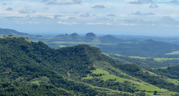Projeto busca votos para impulsionar turismo de observação da fauna na região da Cuesta