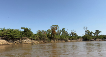 Estudo com participação da Unesp de Botucatu aponta que o Pantanal perdeu cerca de 80% da água superficial em 40 anos