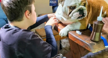 Botucatu reforça importância da vacinação para proteger cães, gatos e a saúde pública