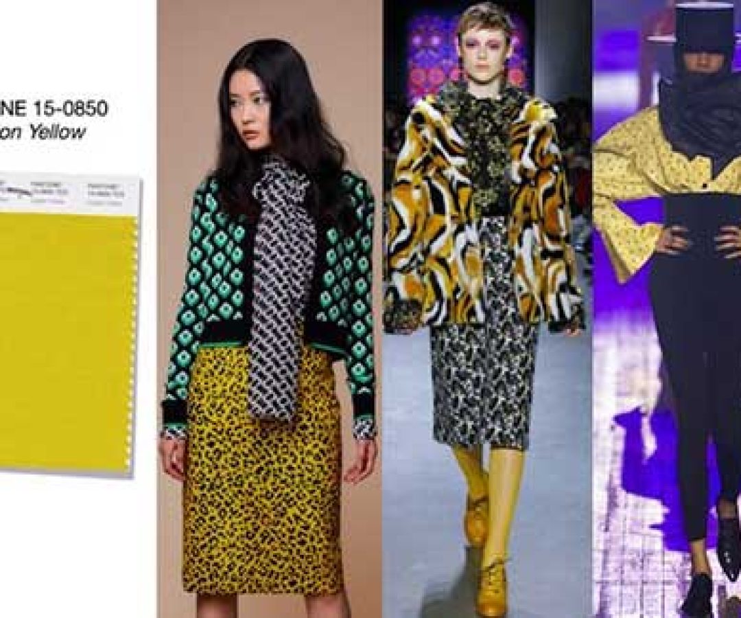CAPA AMARELO