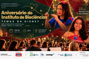 Concerto Disney em Noite Mágica