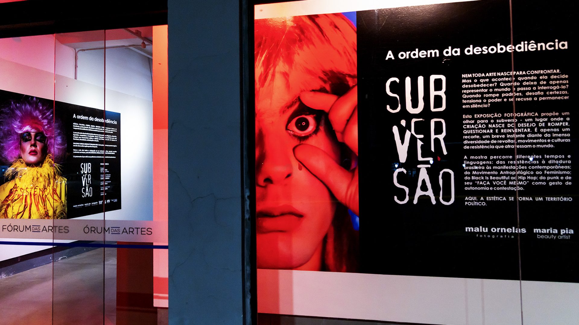 EXPO SUBVERSAO  (1)