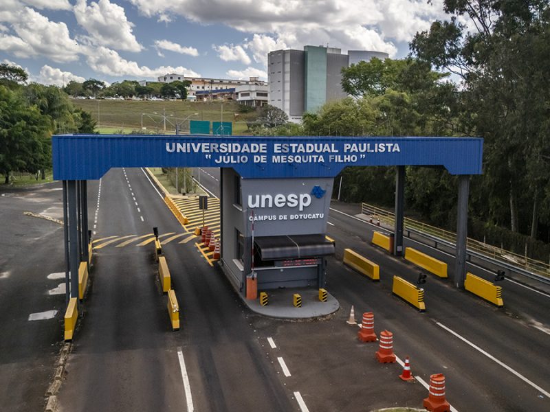 Foto André Godinho