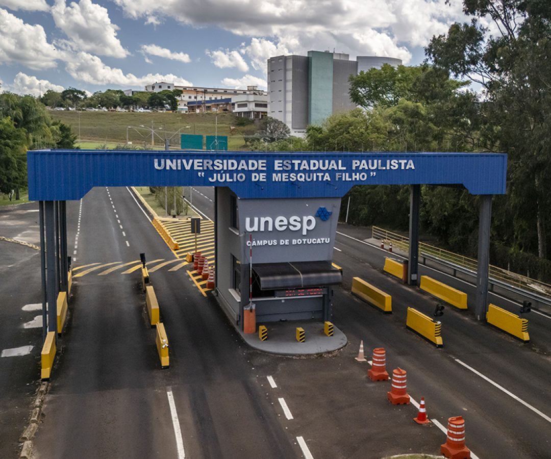 Foto André Godinho