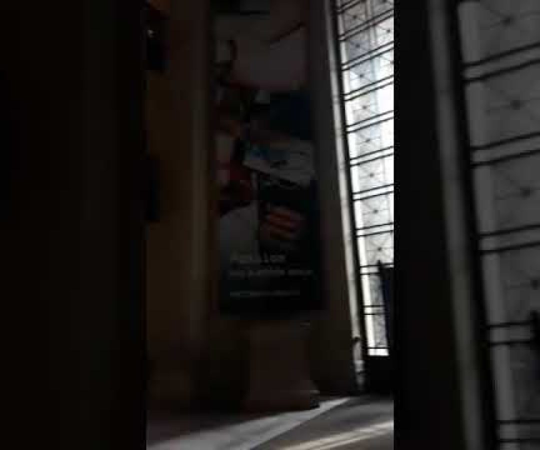 Diário de bordo Faculdade Galileu: confira todas as ações de intercâmbio dos alunos nos EUA; vídeo MIT