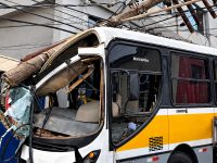 onibus