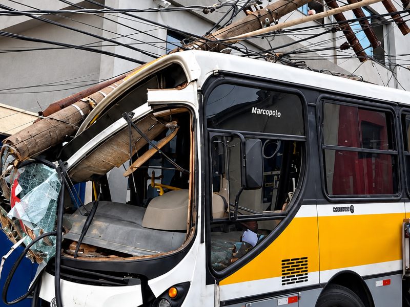 onibus