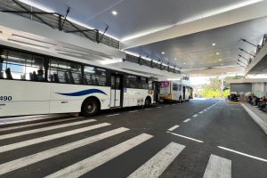 onibus transporte (4)