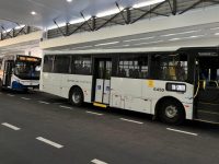 onibus transporte (5)