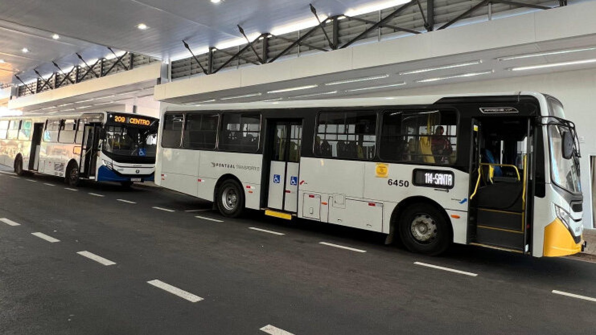 onibus transporte (5)